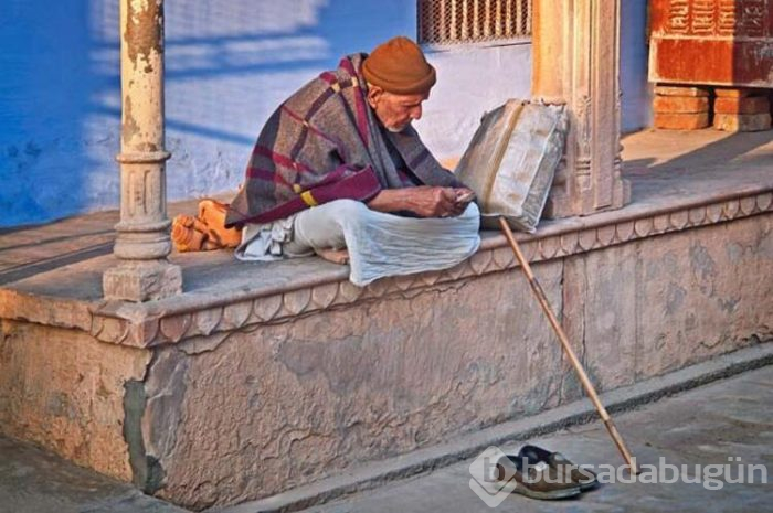 Bu tapınakta 25 bin fare yaşıyor