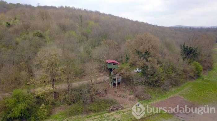Sakarya'da ağaç evde yaşayarak virüsten kaçıyorlar 