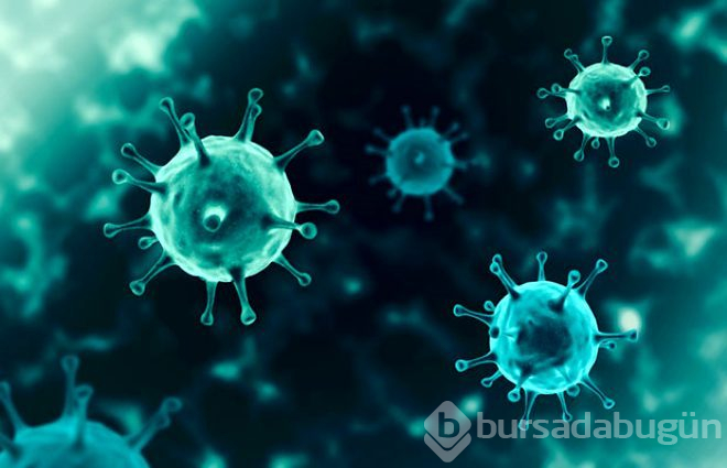 Koronavirüs cinsel ilişki yoluyla bulaşır mı?