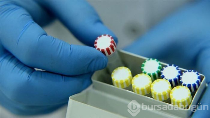 Hayatını kaybedenlerin başını o hastalığa sahip olanlar çekiyor!