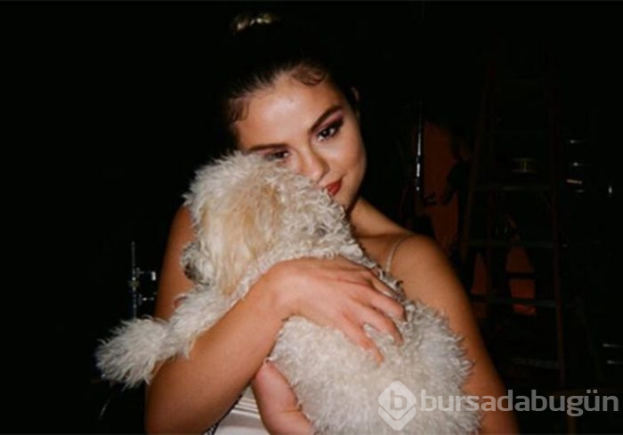 Selena Gomez, eski sevgilisi Justin Bieber'ın fotoğrafını beğendi