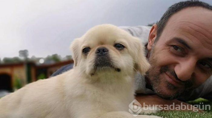 Survivor'da Ersin Korkut'a acı haberi veremediler