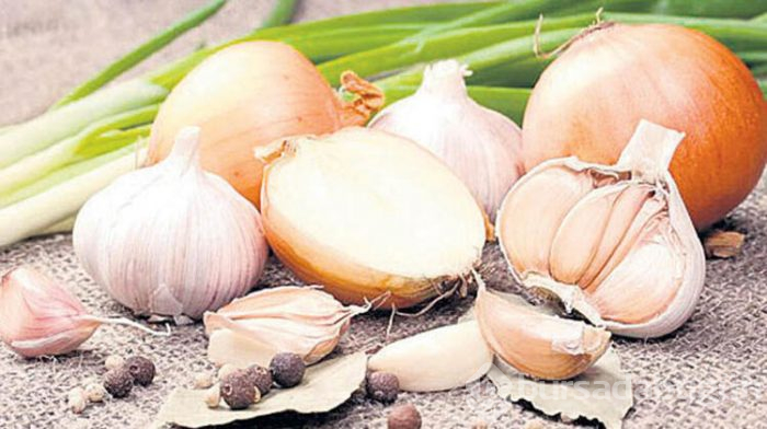 Yiyeceklerin küflenmesini nasıl önleriz?