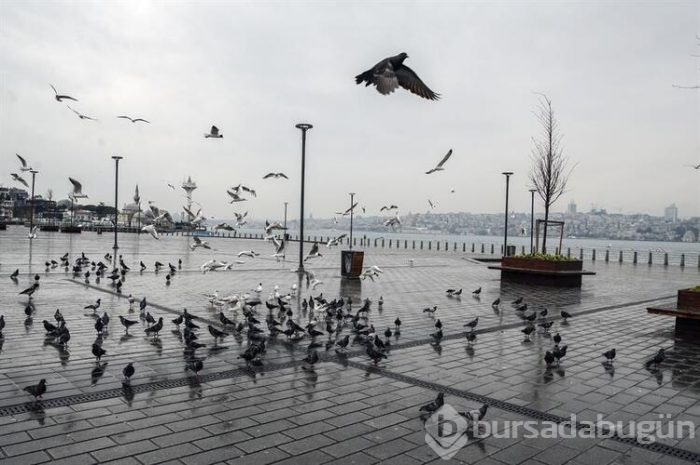  'Evde Kal' çağrısına büyük oranda uyuluyor