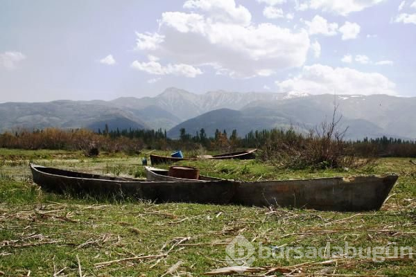 Türkiye'de 60 yılda öyle çok göl kurudu ki...