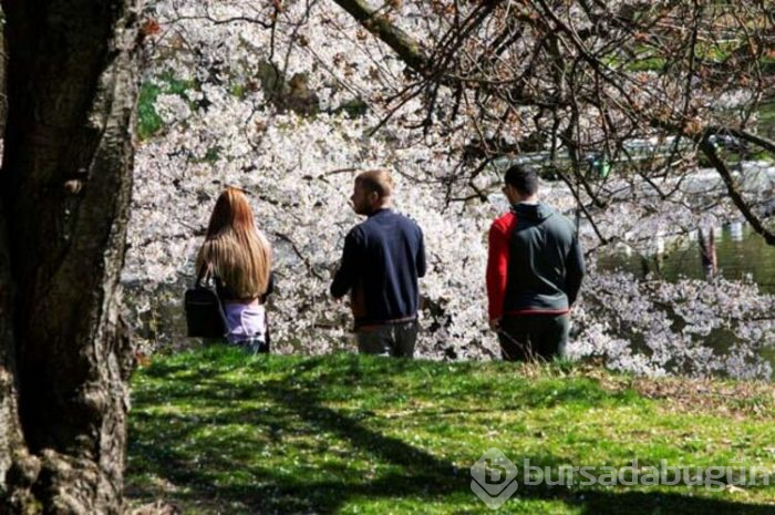 Sosyal mesafe ihlaline sert müdahaleler geldi