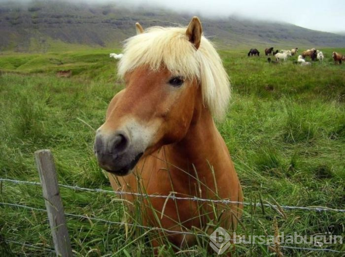 Günün en güzel fotoğrafları 