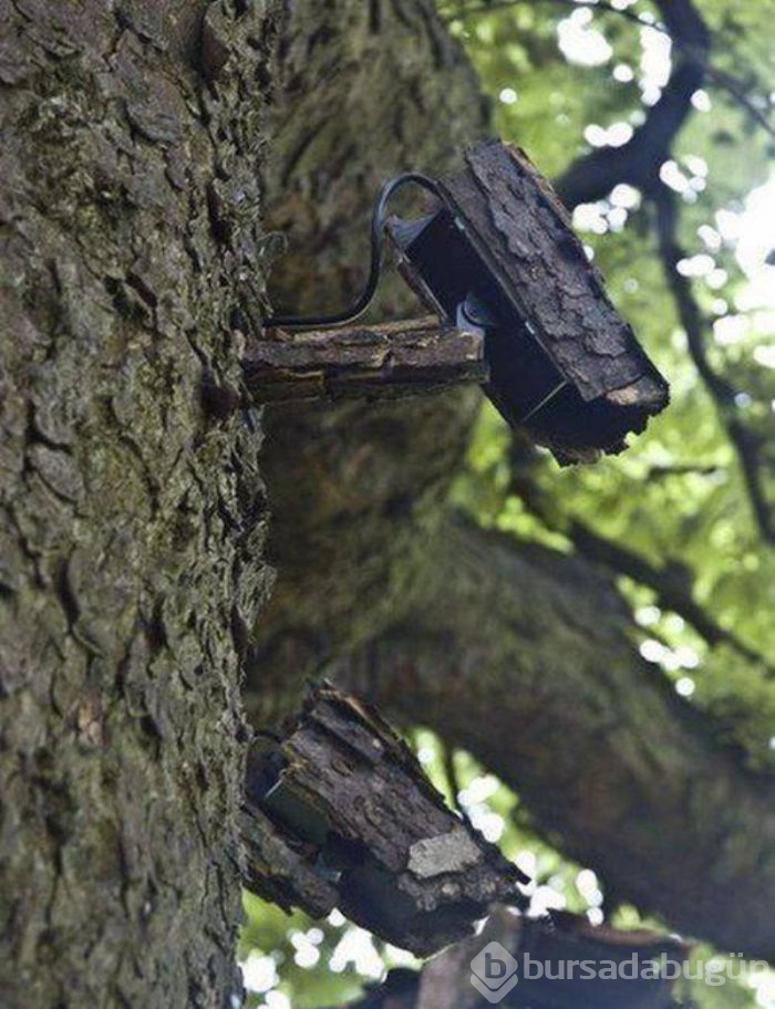 Günün en güzel fotoğrafları 