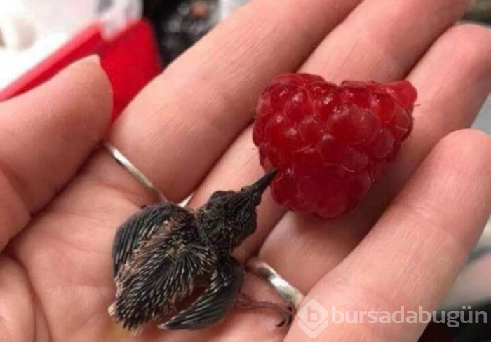 Günün en güzel fotoğrafları 