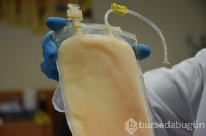 Çin'den sonra dünyada ilk kez plazma tedavisi Malatya'da yapıldı!