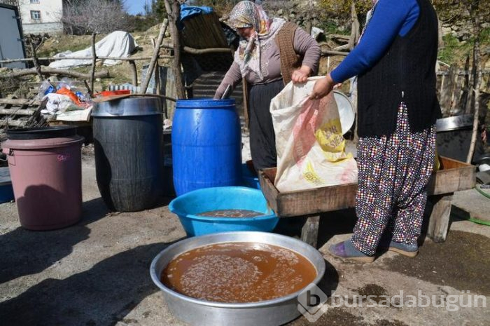 1600 metreden toplanıyor, kilosu 30 TL'den satılıyor