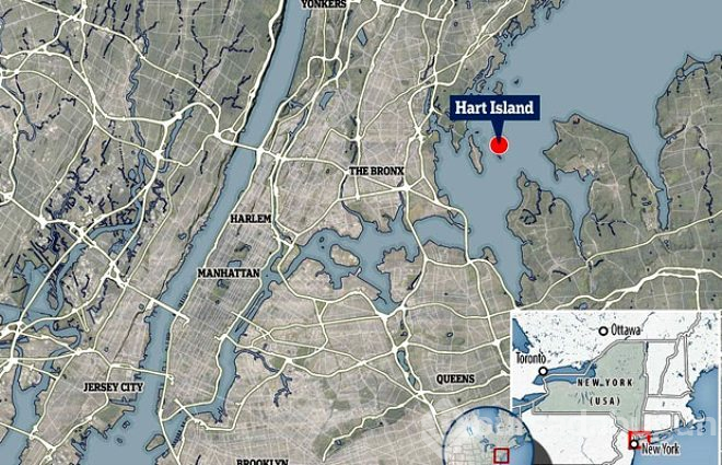 New York'ta korkunç manzara! Koronadan ölenler, İspanyol gribinden ölenlerin olduğu yere gömülecek