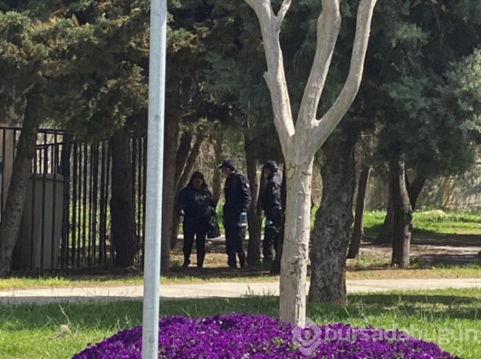 Yolda görenler telefona sarıldı