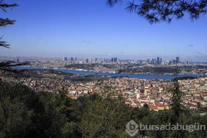 İstanbul Boğazı'nın rengi neden değişti?
