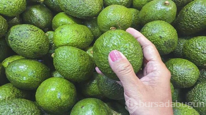 Popüler meyve avokado hakkında tüm bilgiler