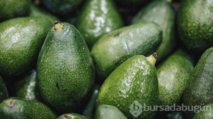 Popüler meyve avokado hakkında tüm bilgiler