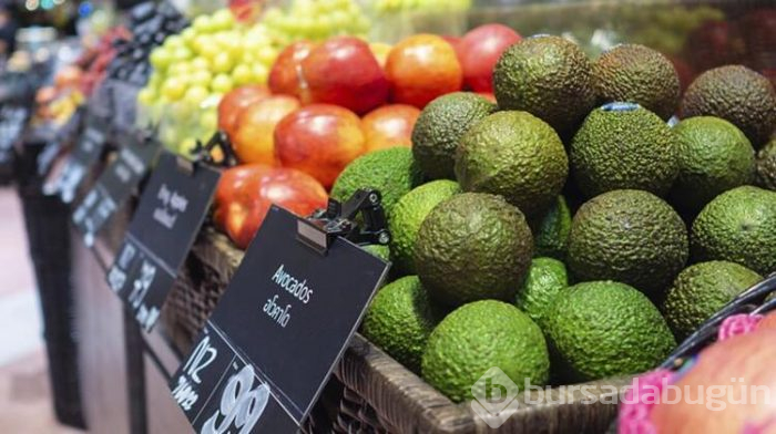 Popüler meyve avokado hakkında tüm bilgiler
