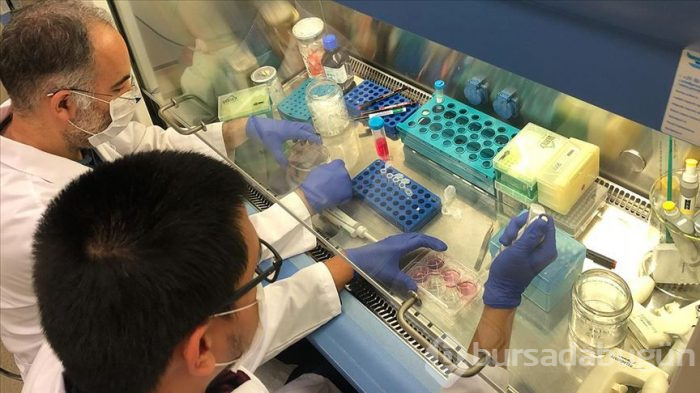 Yalnızca dört saatte sonuç veren test geliştirildi