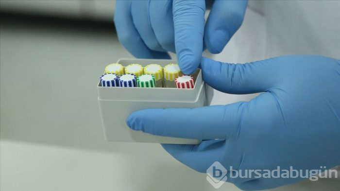 Yalnızca dört saatte sonuç veren test geliştirildi