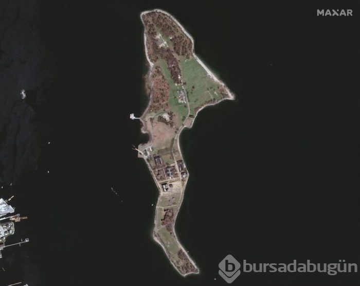 ABD'nin korona virüs "toplu mezar adası"