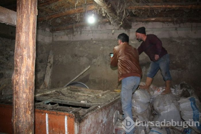 Vaşağı yakalamak 10 saat sürdü
