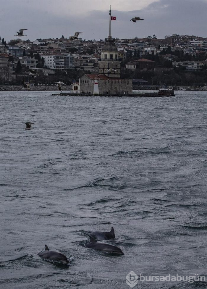 İstanbul'da vapurlar artık boş 