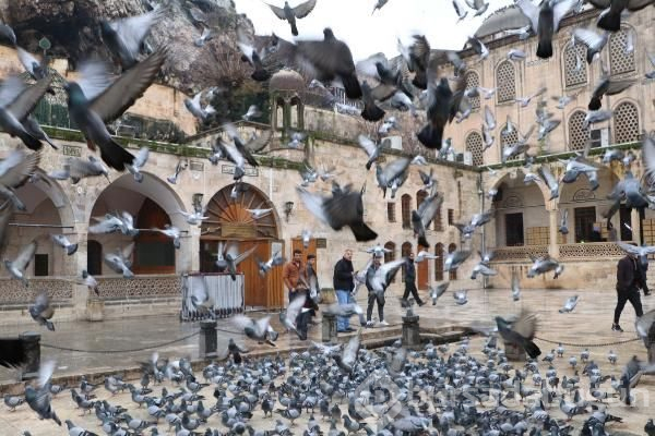 Urfa'da türbeler ziyarete kapatıldı