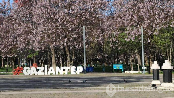 Sokağa çıkma yasağı ilan edildikten sonra illerde son durum 