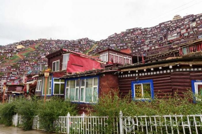 Yasaklar şehri Sertar