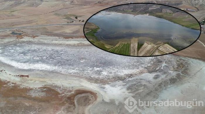 Geçen yaz kurumuştu, şimdi eski ihtişamına kavuştu