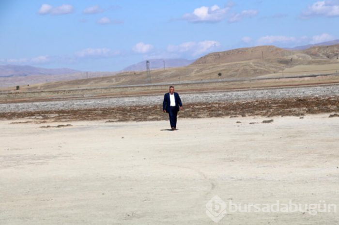 Geçen yaz kurumuştu, şimdi eski ihtişamına kavuştu