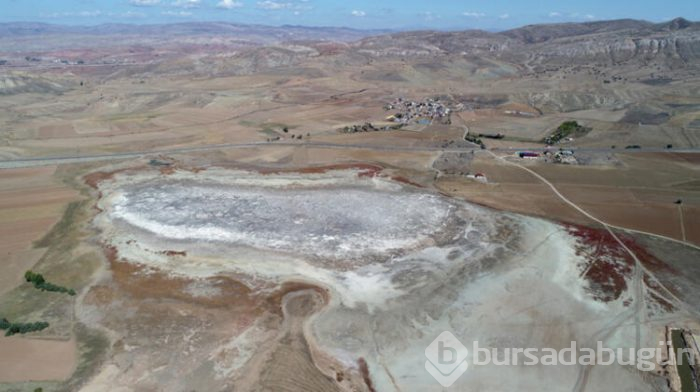 Geçen yaz kurumuştu, şimdi eski ihtişamına kavuştu