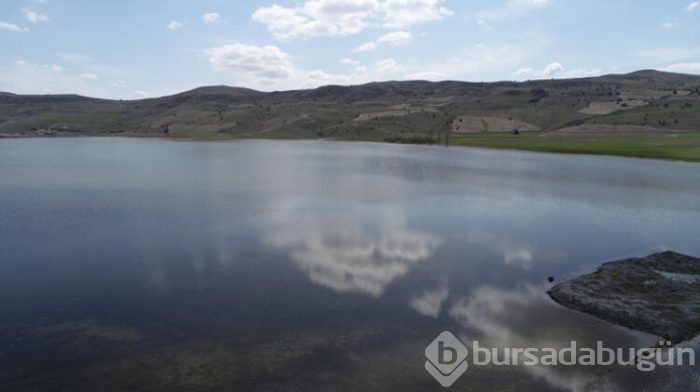 Geçen yaz kurumuştu, şimdi eski ihtişamına kavuştu