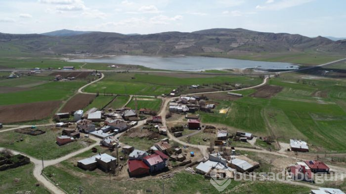 Geçen yaz kurumuştu, şimdi eski ihtişamına kavuştu