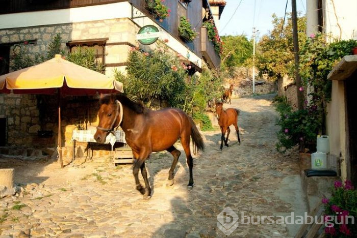Türkiye'nin en güzel köyleri 