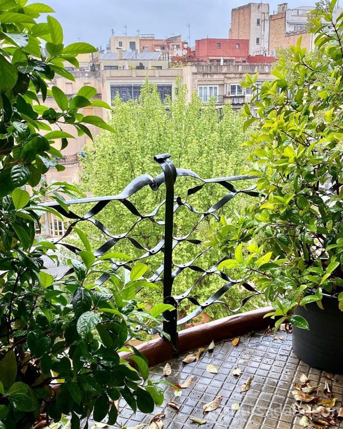 Turistlerin gözdesi La Pedrera binasında tek başına kaldı