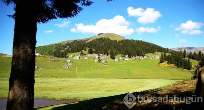 İşte Karadeniz'İn doğal güzellikleri 