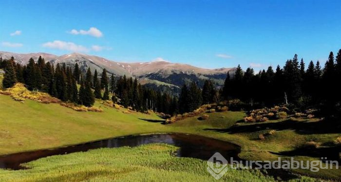 İşte Karadeniz'İn doğal güzellikleri 