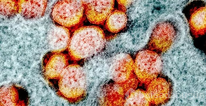 Sosyal mesafeyi korumayan yalnızca bir kişi hastalığı 406 kişiye bulaştırabilir!