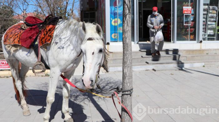 Toplu taşıma yerine at kullanıyor!