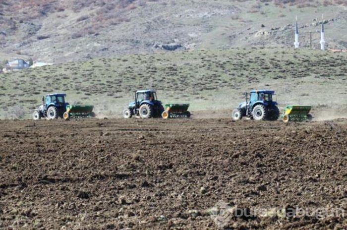 Buradan 5 milyon liralık hasat alınacak