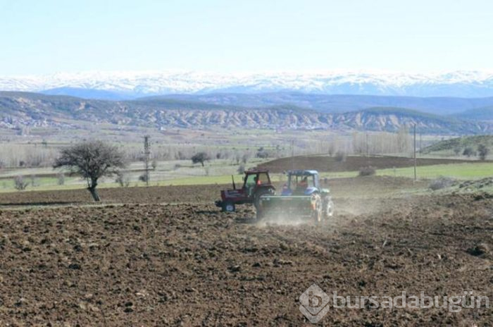 Buradan 5 milyon liralık hasat alınacak