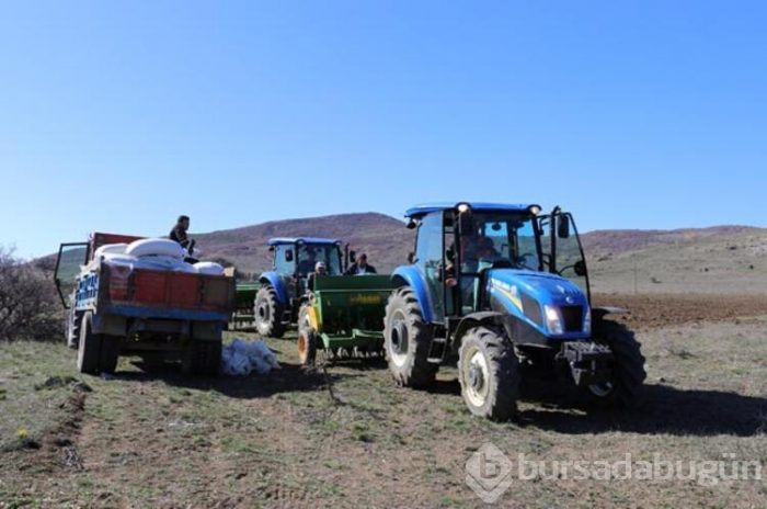 Buradan 5 milyon liralık hasat alınacak