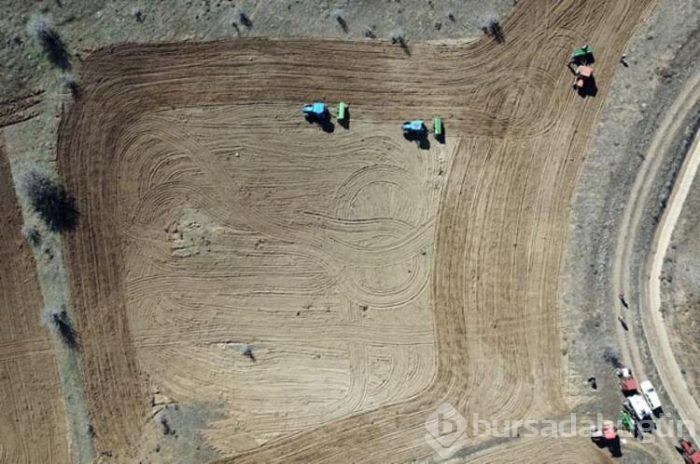 Buradan 5 milyon liralık hasat alınacak