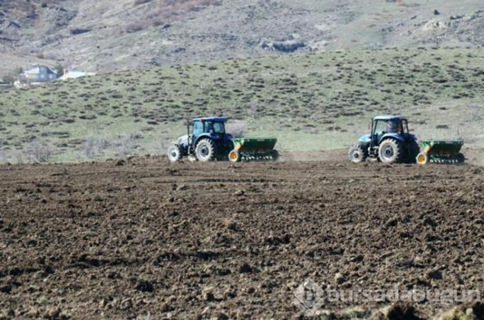 Buradan 5 milyon liralık hasat alınacak