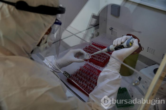 Dünya, Dilara hemşireyi konuşuyor