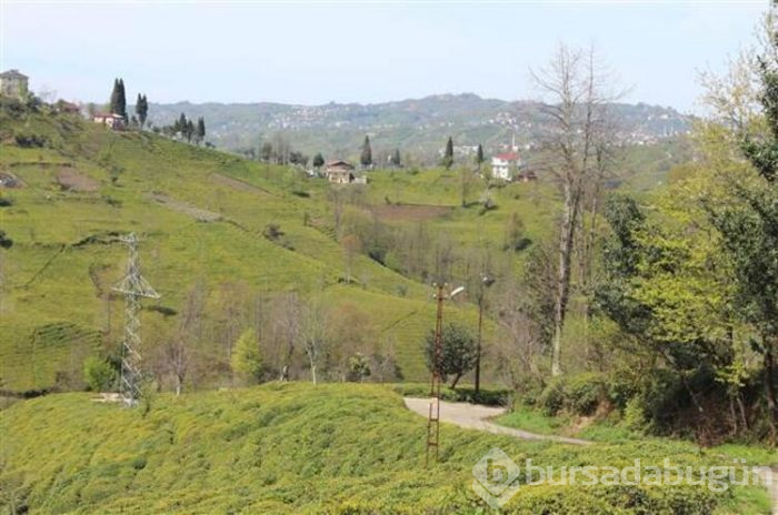 Rize'nin Kalkandere ilçesi karantinaya alındı