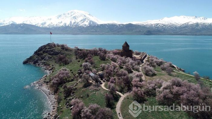 Çiçeklere bürünen Akdamar Adası görsel şölen sunuyor