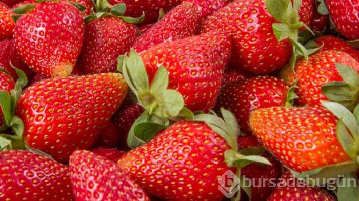 Renklerin yemek üzerindeki etkileri