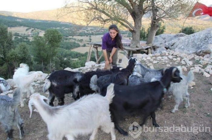 Ne kağıt ne de kalem...